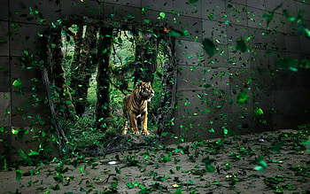 TIGER At forest, tiger, forest HD wallpaper