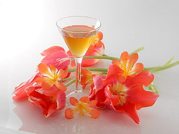 Class, glass, coral, flowers, wine HD wallpaper
