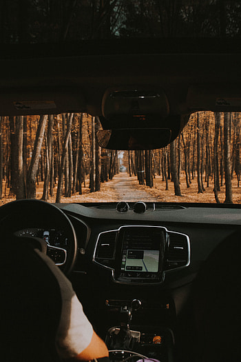 Cars, Road, Forest, Car, Machine, View, Salon HD phone wallpaper