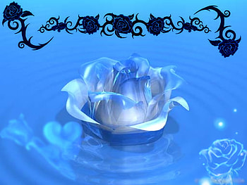 Roses_art, rose, 3d, art, flower HD wallpaper