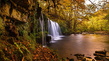 Brecon Beacons National Park, Wales, UK, trees, river, forest, stones, rocks HD wallpaper