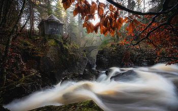 Stream, forest, water, time lapse HD wallpaper