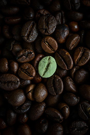 Food, Macro, Brown, Grains, Coffee Beans, Grain HD phone wallpaper