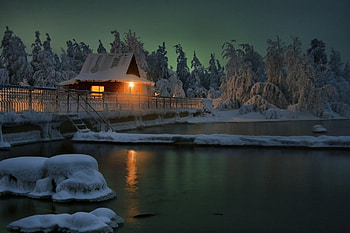 The last days of winter, winter, trees, amazing, snow HD wallpaper