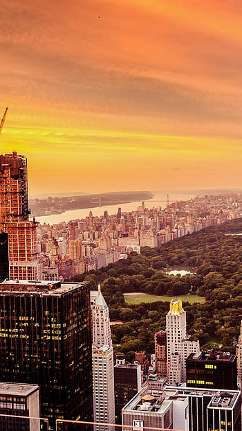 Central Park in New York, Colorful art and collectibles, Instant , and iPad HD phone wallpaper