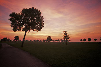 Red dawn, morning, park sunrise, popular, sesons, veterans, beauty, tree, dawn, red, nature, sky, silhouette, places HD wallpaper