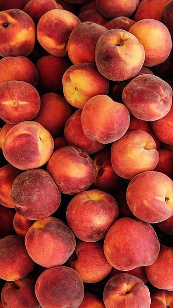 Juicy peaches , Luscious fruit, Delightful background, Vibrant peach HD phone wallpaper