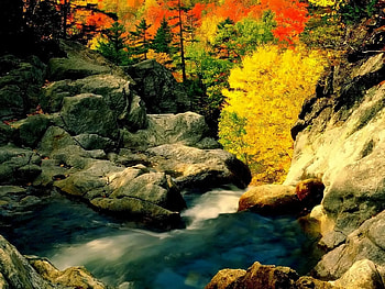 Journey through America: Tennesse, river, nature, tennesse, america, beauty HD wallpaper