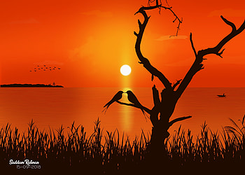 Birds, Sunset, Art, Love HD wallpaper