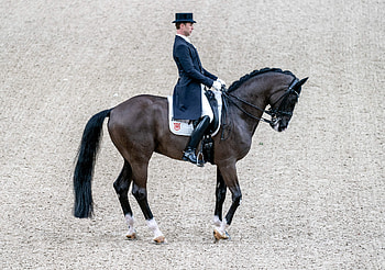 Dressage sports, Dressage riders petition, Allow top hats, Equestrian regulation HD wallpaper