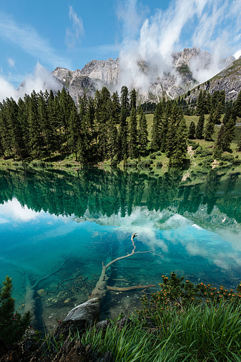 Nature, Trees, Mountains, Lake, Reflection, Shore, Bank HD phone wallpaper