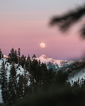 Nature, Sky, Moon, Mountain, Branches, Snow Covered, Snowbound HD phone wallpaper