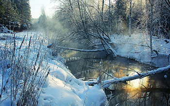 broken trees in river in winter, winter, river, reflection, trees, sun HD wallpaper