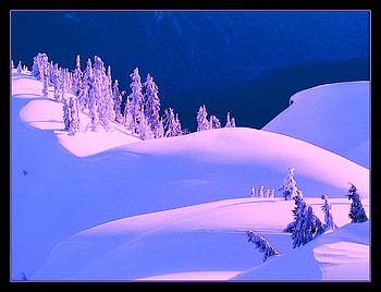 Moonlit snow, winter, hills, moonlight, snow, night sky, trees HD wallpaper