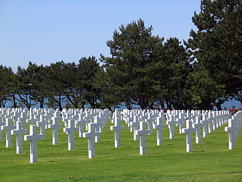 Rows of white crosses in a military cemetery, symbolizing remembrance and honor. HD wallpaper