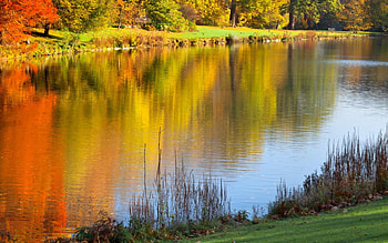 Autumn Park, colorful trees, reflection, autumn, lake, park HD wallpaper