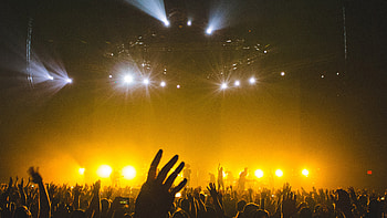 Concert, Rock night, Nature city HD wallpaper