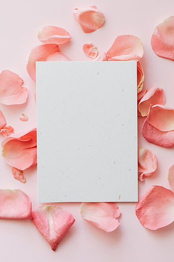 Aesthetic arrangement of pink rose petals surrounding a blank card on a soft pink background, ideal for romantic messages. HD phone wallpaper