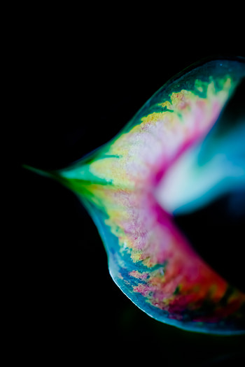 Plant, Macro, Multicolored, Motley, Stains, Spots, Leaflet HD phone wallpaper