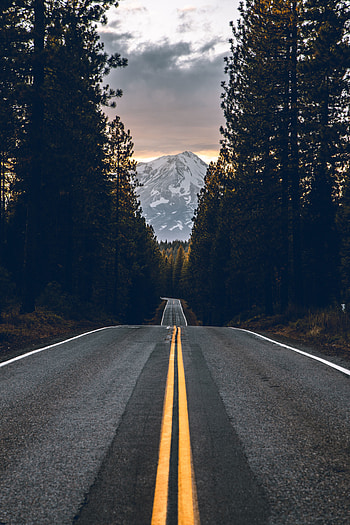 Nature, Trees, Mountain, Vertex, Top, Road HD phone wallpaper
