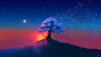 Mystic Tree Sunset HD wallpaper