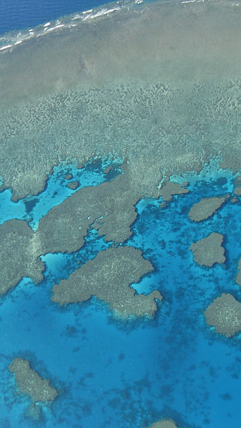 Great Barrier Reef HD phone wallpaper