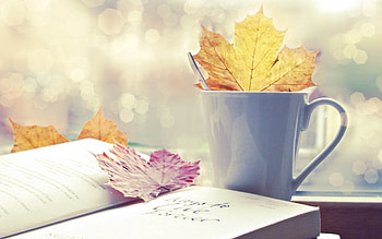 Autumn, Leaves, Miscellanea, Miscellaneous, Book, Mood HD wallpaper