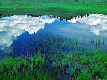 Nature, Grass, Sky, Clouds, Lake, Reflection, Field HD wallpaper