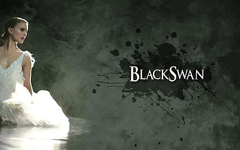 Black swan , Background , Striking visuals, Visual masterpiece HD wallpaper