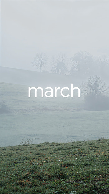 Misty March - | March Morning Mist | March Calm, Fog, Landscape, Field, Grass, Tree HD phone wallpaper