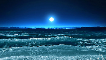 Under Moon Light 1920X1080 screensaver . HD wallpaper