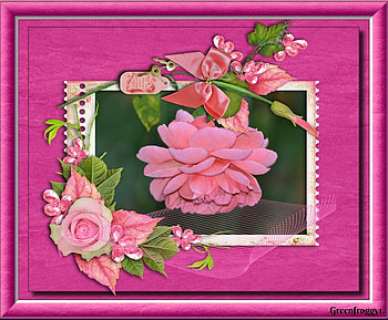 PRETTY PINK ROSE, PRETTY, ROSE, FRAMED, PINK HD wallpaper