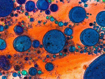 Abstract, Drops, Macro, Multicolored, Motley, Paint, Liquid HD wallpaper