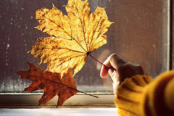 Joy, graphy, fall, autumn, people, beauty HD wallpaper