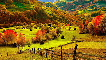 Scenic Fall | at Map.com HD wallpaper