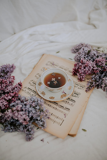 Music, Flowers, Lilac, Still Life, Cup, Tea, Notes HD phone wallpaper