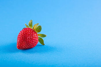 Vibrant close-up of a ripe strawberry on a blue backdrop, showcasing freshness. HD wallpaper