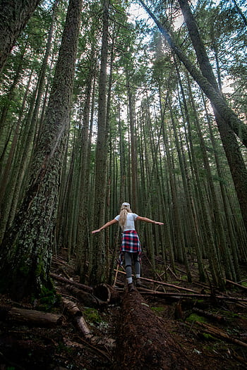 A woman balances on a log amidst towering trees in a lush green forest, embracing nature and adventure. HD phone wallpaper