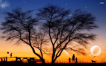 Magic night, night, sky, moon, tree HD wallpaper