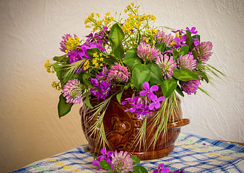 *** Still life ***, life, nature, flowers, still, wild HD wallpaper