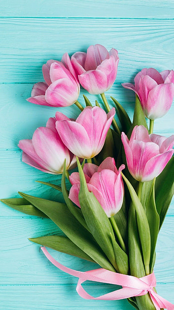 Pink flowers , Floral enchantment, Blossom beauty, Nature's treasure HD phone wallpaper