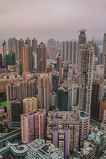 Cities, City, Building, Fog, Skyscrapers HD phone wallpaper