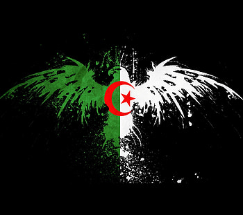 Algeria, Africa, eagle HD wallpaper