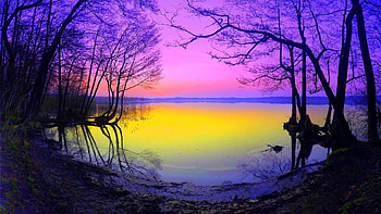 Lake in the Cold Autumn Morning, morning, cold, trees, autumn, sky, nature, lake HD wallpaper