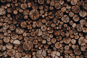 A stack of weathered wood logs creating an organic texture pattern, perfect for backgrounds. HD wallpaper