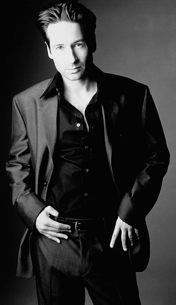 David Duchovny, , Hot actors, Actors HD phone wallpaper