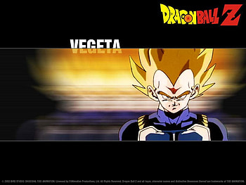 After Vegeta, vegeta, dbz, blurry, armor HD wallpaper