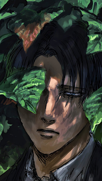 Levi Ackerman, Levi Ackerman, Anime, Attack on Titan HD phone wallpaper
