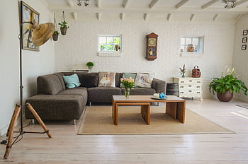 Stylish living room interior featuring a cozy couch, decor accents, and natural elements. HD wallpaper