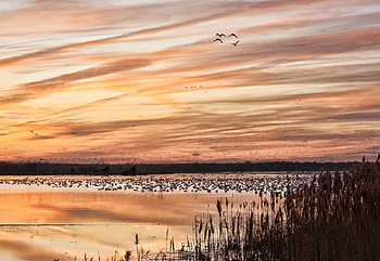 Sunsets @ It's Best, cool, best, vivid, nice HD wallpaper